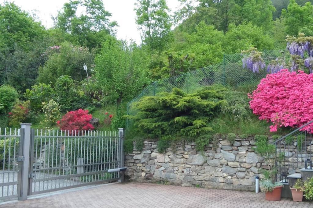 Lake Orta Openspace Garden Beach Pettenasco Exteriér fotografie